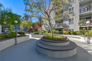 Outdoor Courtyard, circular bench with tree planted in the center, surrounding apartments and balconies above.